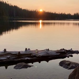 Meet your Posher, Tracy